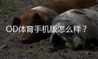 OD体育手机版怎么样？全面评测、优缺点与下载使用指南