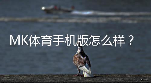 MK体育手机版怎么样?资深玩家实测体验与使用攻略分享