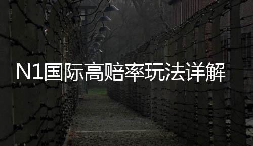 N1国际高赔率玩法详解:新手入门、投注技巧与风险控制