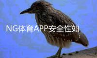 NG体育APP安全性如何？账号安全、隐私保护与支付风险全面解析