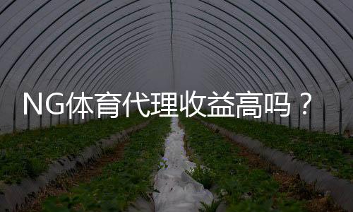 NG体育代理收益高吗？真实利润、成本与风险全方位解析