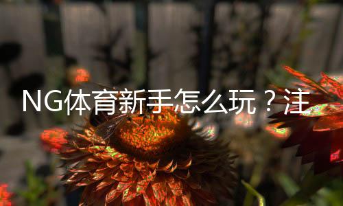 NG体育新手怎么玩?注册、充值、玩法与投注技巧全攻略