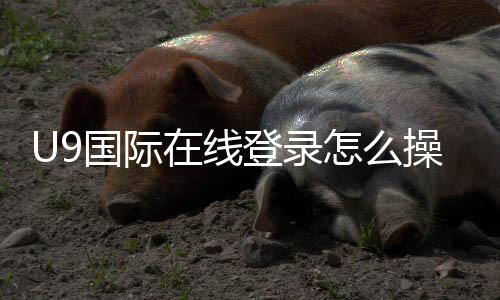 U9国际在线登录怎么操作?新手注册登录详细教程与常见问题解决