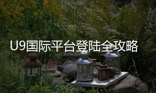 U9国际平台登陆全攻略:官网登录步骤、新手注册与常见问题快速解决