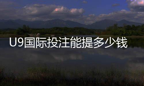 U9国际投注能提多少钱?提现额度、到账时间与手续费全解析