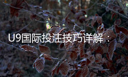 U9国际投注技巧详解:新手入门、实战策略与风险控制
