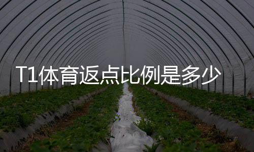 T1体育返点比例是多少?最新返利比例、计算方法与领取注意事项