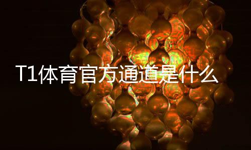 T1体育官方通道是什么？最新登录入口、使用教程与安全注意事项