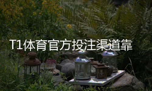 T1体育官方投注渠道靠谱吗?官网入口、验证方法与安全充值指南