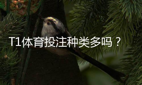 T1体育投注种类多吗?玩法分类、优劣对比与新手投注指南