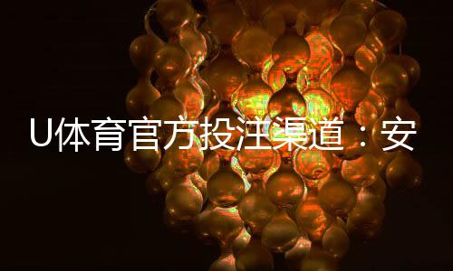 U体育官方投注渠道:安全便捷的体育赛事投注平台推荐
