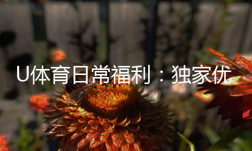 U体育日常福利:独家优惠与惊喜礼包天天送