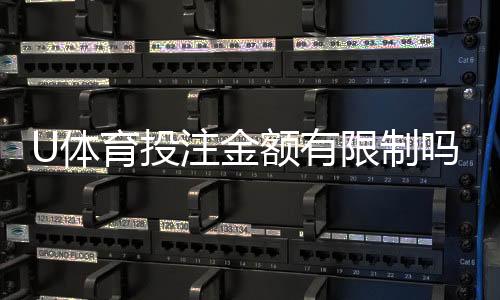 U体育投注金额有限制吗?平台限额规则与破解技巧全解析