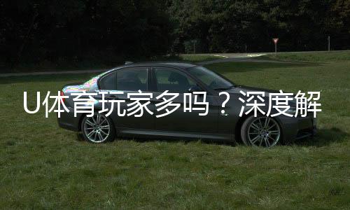 U体育玩家多吗?深度解析平台人气与玩家真实体验