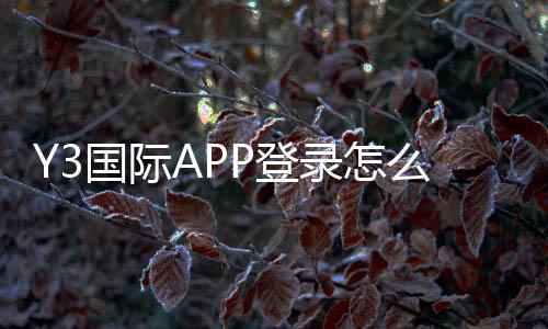 Y3国际APP登录怎么操作?官方入口、账号注册与忘记密码问题全面解析
