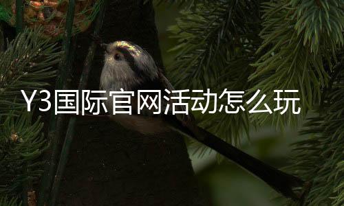 Y3国际官网活动怎么玩?新手必看参与规则、优惠领取与注意事项
