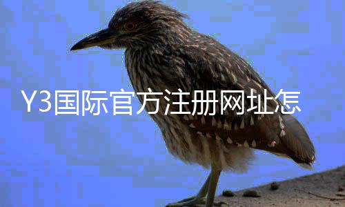 Y3国际官方注册网址怎么注册?最新版注册流程与安全验证全攻略
