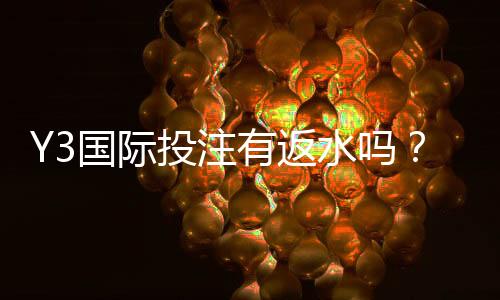 Y3国际投注有返水吗?返水比例、领取条件与常见陷阱全解析