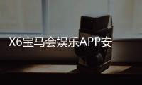 X6宝马会娱乐APP安全性如何？深度解析其资金保障与数据防护措施