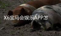 X6宝马会娱乐APP怎么样？资深玩家带你全面评测体验