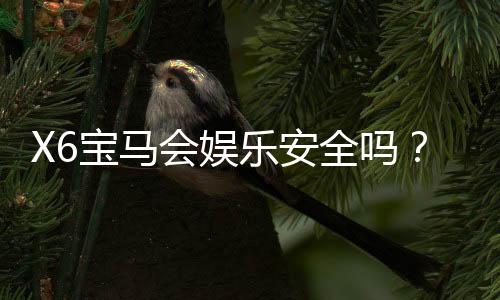 X6宝马会娱乐安全吗?资深玩家揭秘平台真实体验与保障措施