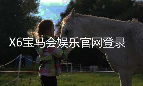X6宝马会娱乐官网登录入口:畅享豪华电游体验与独家登录福利