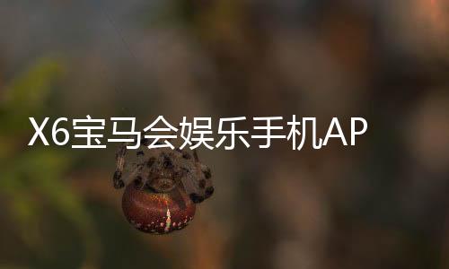 X6宝马会娱乐手机APP下载:畅享顶级棋牌游戏的移动端新体验
