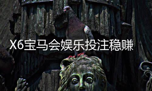 X6宝马会娱乐投注稳赚吗?资深玩家揭秘稳赢技巧与风险把控