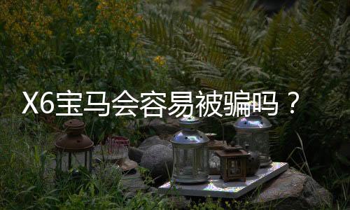 X6宝马会容易被骗吗?资深玩家揭秘防骗技巧与平台真相