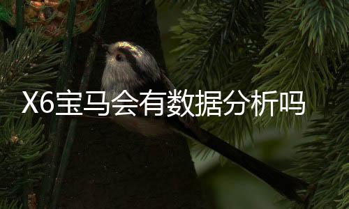 X6宝马会有数据分析吗?深度解析平台数据监测与玩家策略优化