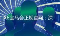 X6宝马会正规官网：深度解析平台优势与安全投注指南
