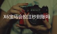 X6宝马会投注秒到账吗？实测到账速度与平台可靠性解析