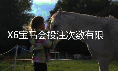 X6宝马会投注次数有限制吗?详解平台规则与破解技巧