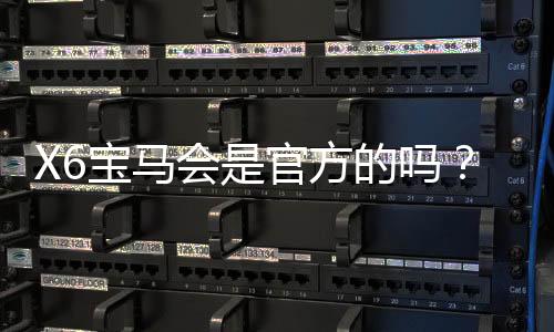 X6宝马会是官方的吗?揭秘其真实背景与游戏体验