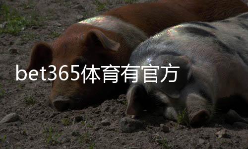 bet365体育有官方APP吗?官方客户端iOSAndroid下载、安装与安全性全解析