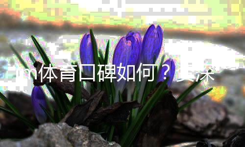 im体育口碑如何?资深玩家揭秘真实体验与平台优劣