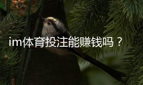 im体育投注能赚钱吗?揭秘稳定盈利的实战技巧与风险规避