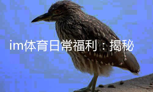 im体育日常福利:揭秘平台独家优惠与玩家专属礼包