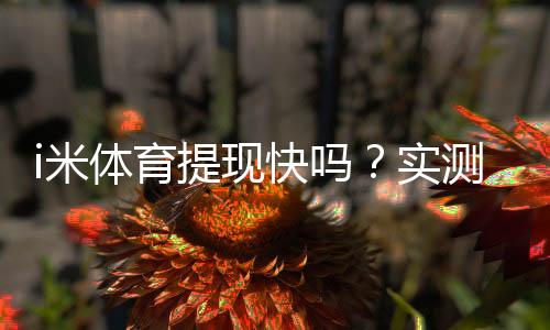 i米体育提现快吗?实测到账速度与提现技巧分享