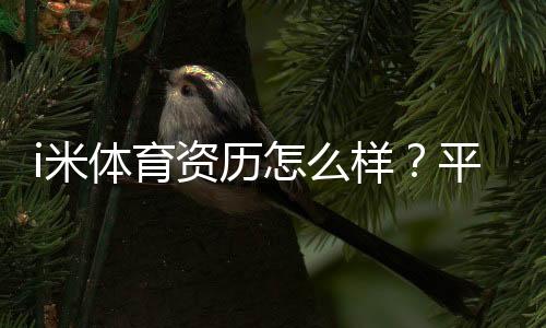 i米体育资历怎么样?平台背景、资质与可靠性全面评测