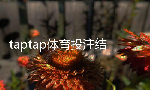 taptap体育投注结果公平吗？权威评测：算法、风控与投诉流程全解析